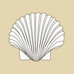 shell-161300-1280-copie.jpg